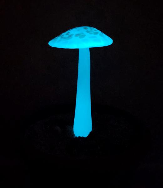 #04122430 GLOW IN THE DARK mushroom on glass stake 7.5''H x 4''W $80