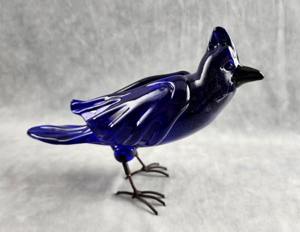 #05082420 free standing steller's jay 8''Hx10.5''L $400