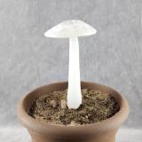 #04122430 GLOW IN THE DARK mushroom on glass stake 7.5''H x 4''W $80