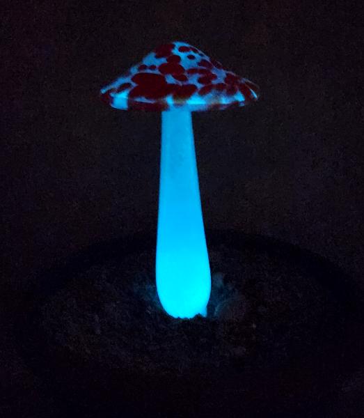 #04122407 GLOW IN THE DARK mushroom on glass stake 7''H x 4''W $80