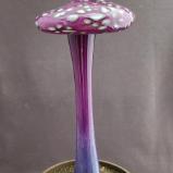 #04052415 LG mushroom with glass stake 15''Hx6''W $100