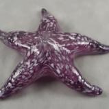 #08122456  Starfish 6.5'' $90.00