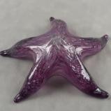 #08122455  Starfish 7'' $100.00