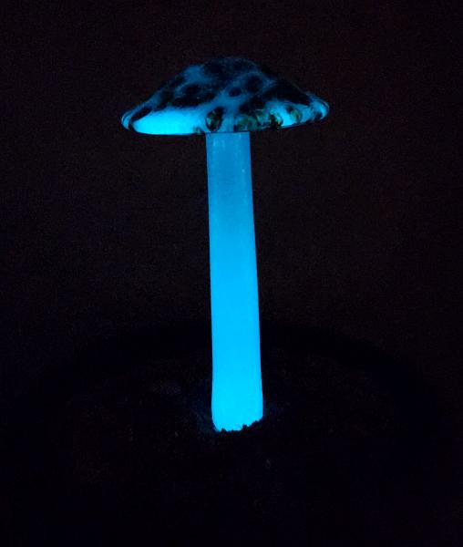 #04122436 GLOW IN THE DARK mushroom on glass stake 7''H x 4''W $80