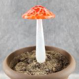 #04122416 GLOW IN THE DARK mushroom on glass stake 7.5''H x 4''W $80