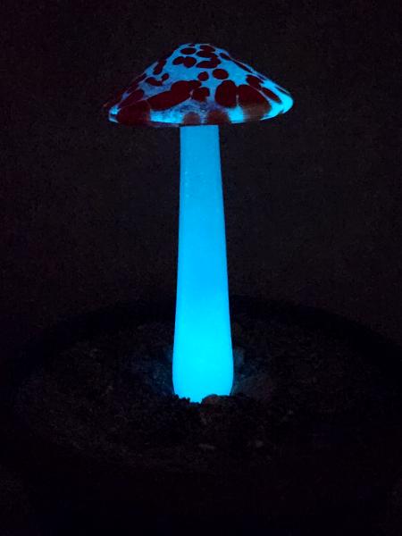 #04122408 GLOW IN THE DARK mushroom on glass stake 7.5''H x 4''W $80