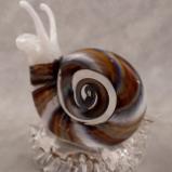 #02042519 Snail 5.5''HX2.5''WX5''L $125.00