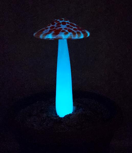 #04122416 GLOW IN THE DARK mushroom on glass stake 7.5''H x 4''W $80