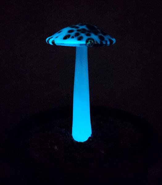 #04122435 GLOW IN THE DARK mushroom on glass stake 7''H x 4''W $80