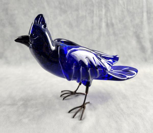 #05082420 free standing steller's jay 8''Hx10.5''L $400