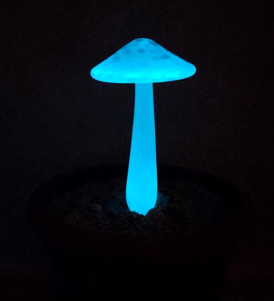 #04122418 GLOW IN THE DARK mushroom on glass stake 7''H x 4''W $80