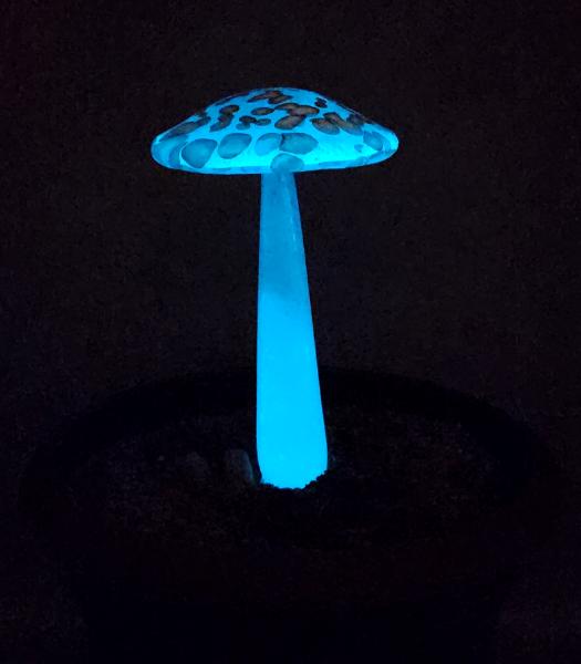 #04122431 GLOW IN THE DARK mushroom on glass stake 7''H x 4''W $80