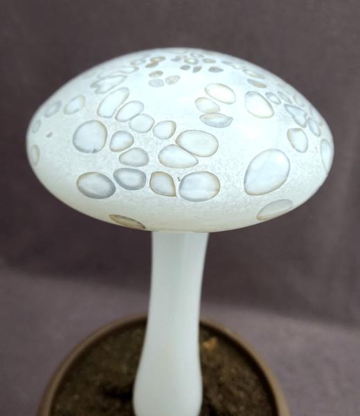 #04052408 LG mushroom with glass stake 13''Hx6''W $100