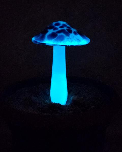 #04122403 GLOW IN THE DARK mushroom on glass stake 6''H x 4''W $80