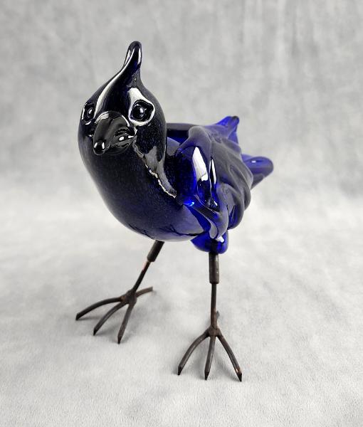 #05082421 free standing steller's jay 8''Hx10''L $400