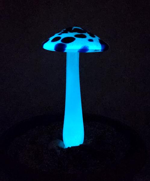 #04122427 GLOW IN THE DARK mushroom on glass stake 7.5''H x 4''W $80