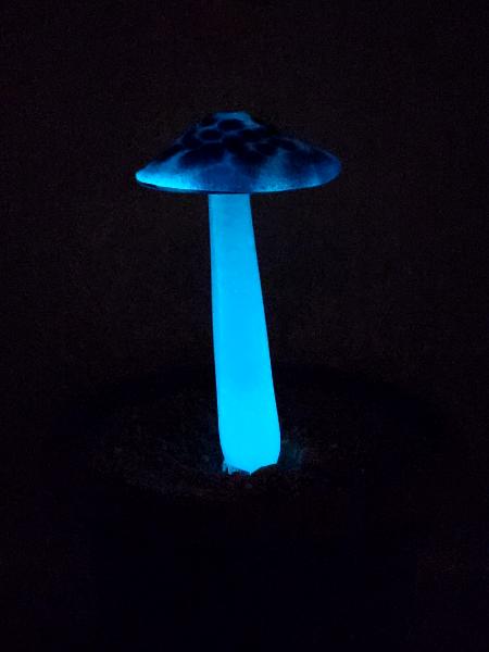 #04122401 GLOW IN THE DARK mushroom on glass stake 7.5''H x 4''W $80