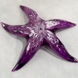  #12152514 Starfish  6.25'W   $85.00