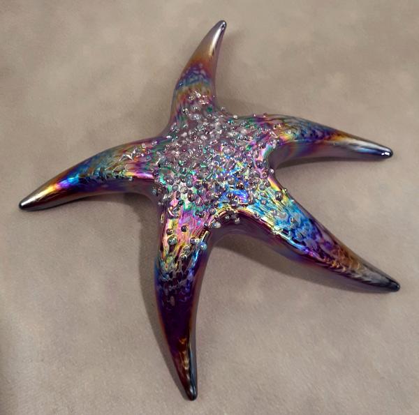 #19 #10262641 Starfish with wall hanger Iridised 7''W $90.00