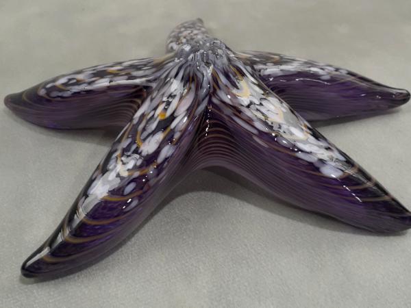 #01102622 Starfish purple with wall hanger 7'' $90.00 
