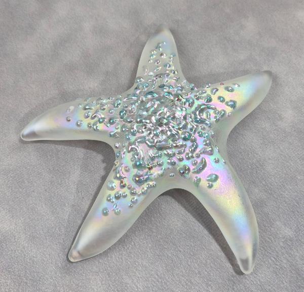 #02252612 Starfish Glows in the dark 6.25'' W Iridised  $100.00