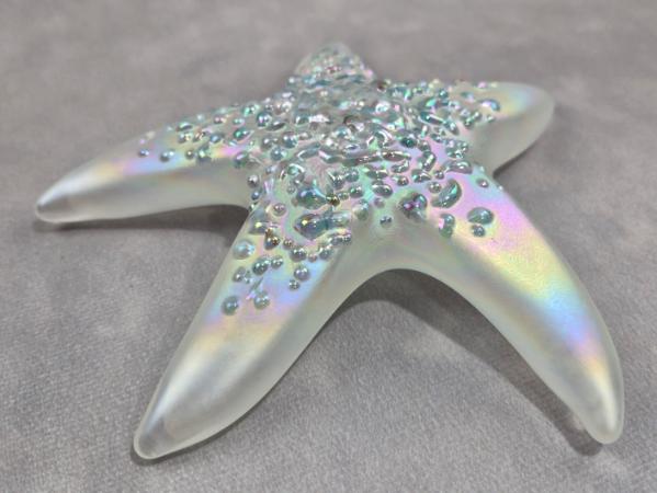 #02252612 Starfish Glows in the dark 6.25'' W Iridised  $100.00