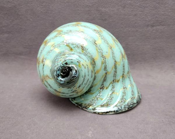 #10 #07172305 seashell 4.5''Hx6.5''Wx4.5''D $175