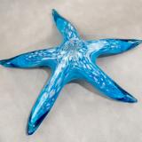 #10262637 Starfish with wall hanger 8.25''W $90.00