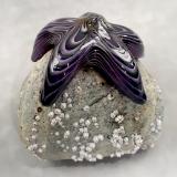  #09162508 Starfish on rock Purple 4.5''HX4.5''WX5''D $150.00