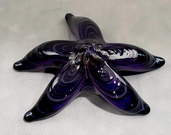 #09162503 Starfish Purple 5.75'' $80.00