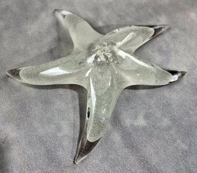 #02252604 Starfish Glows in the dark 6.75'' W  $100.00