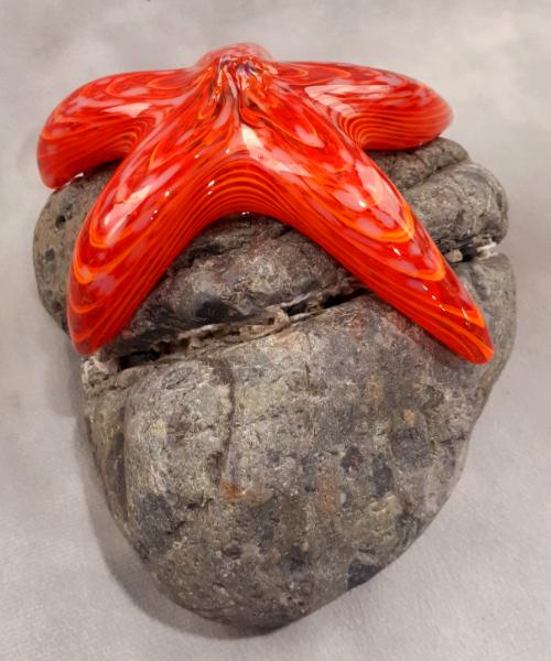 #10262623 Starfish on rock 3.75''HX6.5''WX5''D $150.00