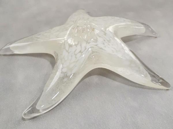#10262643 Starfish Glow in the dark with wall hanger 6.5''W $100.00