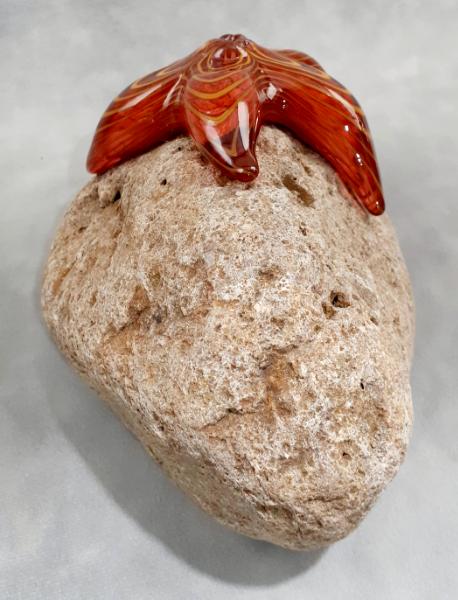 #09162507 Starfish on rock Orange 4.25''HX8.5''WX5.25''D $150.00