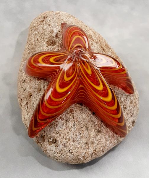 #09162507 Starfish on rock Orange 4.25''HX8.5''WX5.25''D $150.00
