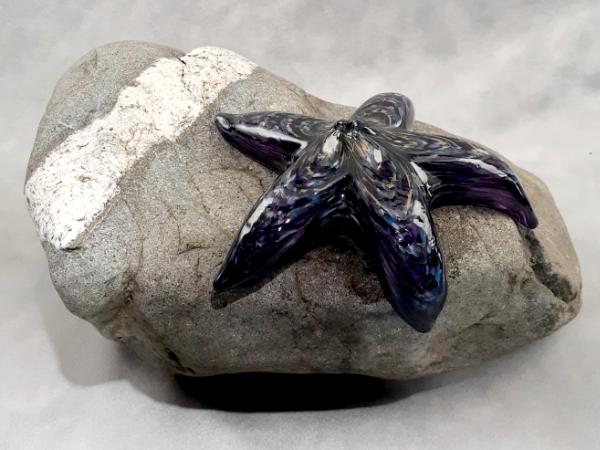 #09162509 Starfish on rock Purple 4.75''HX10.25''WX7.5''D $180.00