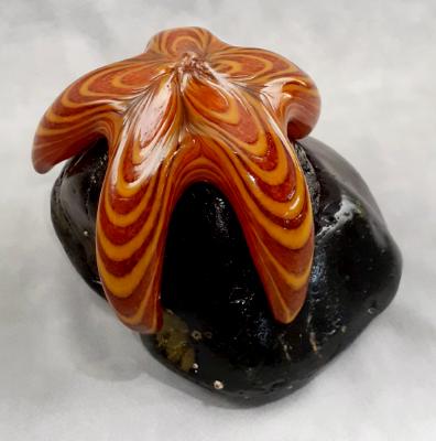 #08042511 Starfish on Rock 5''HX6.5''WX5.75''L $150.00