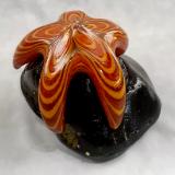 #08042511 Starfish on Rock 5''HX6.5''WX5.75''L $150.00