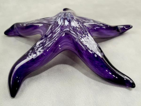 #04 #10262639 Starfish with wall hanger 7.25''W $90.00
