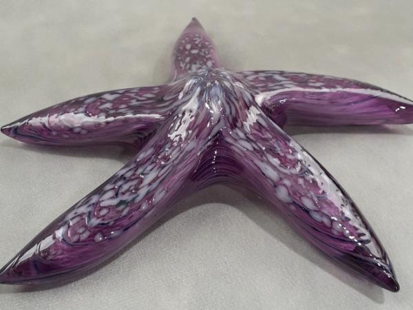 #01102623 Starfish purple with wall hanger 7.5'' $90.00
