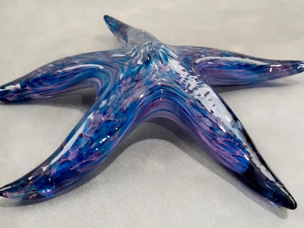 #10262638 Starfish with wall hanger 7.5''W $90.00