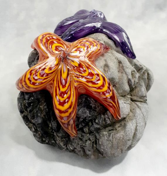 #01 #09162511 Two Starfish on rock Purple & Orange 6.25''HX10''WX7.5''D $280.00